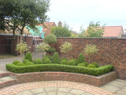 Harrison Tree Care Felling